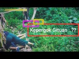 kepergok-gituan