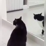 ketika-jalan-di-mall-dan-ngelewatin-kaca