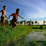 kolam-renang-yang-beda-dari-yang-lain-gratis-lho-kamu-mau-coba