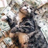 kucing-tajir-sampe-hantu-adventure-feed-absurd-instagram