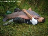 mancing-greget-siluman-ikan-bikin-pingsan