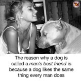 mans-best-friend