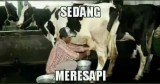 meme-aneh-dan-kocak-tapi-bikin-kepala-angguk-angguk