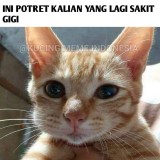 meme-ngilunya-sakit-gigi-ini-bikin-kamu-rajin-gosok-gigi