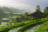 menarik-indonesia-jadi-destinasi-favorit-para-traveller