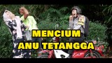 mencium-ane-tentangga