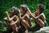 menyeruak-di-balik-semak-semak-harta-asli-milik-indonesia