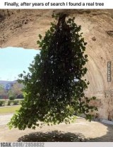 momen-kocak-serba-kebalik-ini-bikin-bingung-setengah-mati