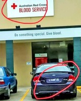 momen-pas-saat-foto-ini-bikin-mikir-kok-bisa-ya