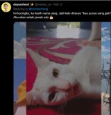 nama-panggilan-kucing-kesayangan-yang-nyeleneh-dan-kocak-banget-ala-warganet