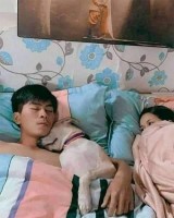 ngakak-3-hewan-peliharaan-ini-kelakuannya-kaya-manusia