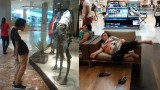 nggak-ada-malu-malunya-kelakuan-absurd-orang-di-mall-ini-bikin-geleng-geleng