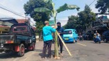 nggak-cuma-tumbuh-di-ladang-di-jalan-nasional-semarang-juga-ada-pohon-pisang