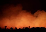 pentingnya-hutan-amazon-yang-habis-dilalap-api-bagi-bumi
