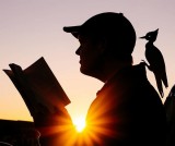 potongan-kardus-dan-sunset-siapa-sangka-jadi-kombinasi-sempurna-sebuah-karya