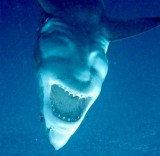 potret-benda-yang-terlihat-seperti-hidup-ini-bikin-kucek-kucek-mata