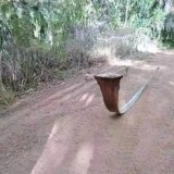 potret-kocak-benda-mirip-ular-ini-bikin-jantung-dag-dig-dug