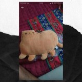 potret-kocak-boneka-hewan-ini-absrud-banget-sampai-bikin-geleng-geleng-kepala