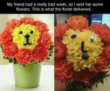 potret-kocak-bunga-absurd-yang-dijadikan-hadiah-ini-bikin-tepuk-jidat