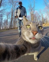 potret-kocak-ketika-kucing-bisa-selfie-ini-bikin-senyum-tipis-melihatnya