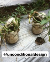 potret-kocak-ketika-orang-memanfaatkan-sepatu-menjadi-alih-fungsinya-yang-bikin-senyum-tipis