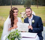 potret-kocak-ketika-peliharaan-ikut-eksis-disebuah-acara-ini-bikin-gregetan