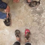 potret-kocak-ketika-terjebak-di-momen-canggung-ini-bikin-salting-sendiri