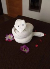 potret-kocak-kreasi-handuk-hotel-ini-gemesin-banget