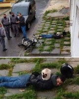 potret-kocak-kucing-saat-melakukan-pekerjaan-berat-ini-bikin-cekikikan