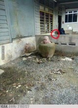 potret-kocak-lingkaran-pada-foto-ini-bikin-kita-gagal-fokus