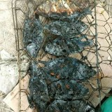 potret-kocak-saat-dibakar-ini-absurd-banget-bikin-geleng-geleng-kepala