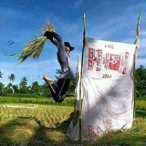 potret-kocak-tak-terduga-yang-terjadi-di-sawah-ini-bikin-ngakak