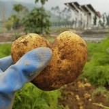 potret-momen-bikin-baper-saat-bekerja-ini-bikin-senyum-tipis