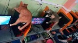 potret-nyeleneh-ketika-di-warnet-ini-absurd-banget-dan-bikin-kamu-ngakak
