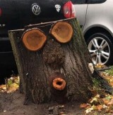 potret-penampakan-pohon-tak-lazim-ini-bikin-merinding-sampai-ngakak