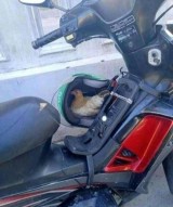 potret-persiapan-abang-ojol-saat-mau-narik-ini-bakal-bikin-ngakak
