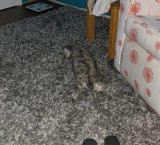 saat-hidup-hanyalah-sebuah-ilusi-optik