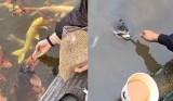 saat-ikan-sudah-dianggap-seperti-anak-sendiri