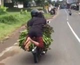 sebuah-pegangan-hidup