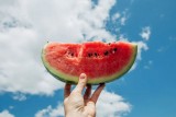 semangka-bahaya-buat-kesehatan-udah-tahu