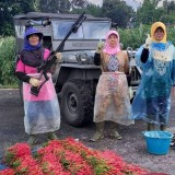 spesial-desain-outfit-gemes-ala-emak-emak