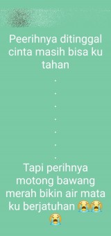 status-wa-kocak-orang-memasak-ini-bisa-bikin-ketawa-ngakak