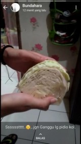 status-whatsapp-emak-emak-yang-bikin-kita-ketawa-seharian