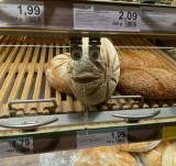 tes-mata-kamu-dan-bakal-senyum-senyum-sendiri-jika-melihat-deretan-foto-ini