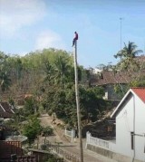 tingkah-kocak-orang-demi-dapat-background-foto-estetik-ini-bikin-kita-geleng-kepala