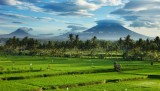 ubud-ditetapkan-sebagai-destinasi-gastronomi-dunia