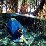 hobi-nongkrong-pingin-kembaran-sama-kodok